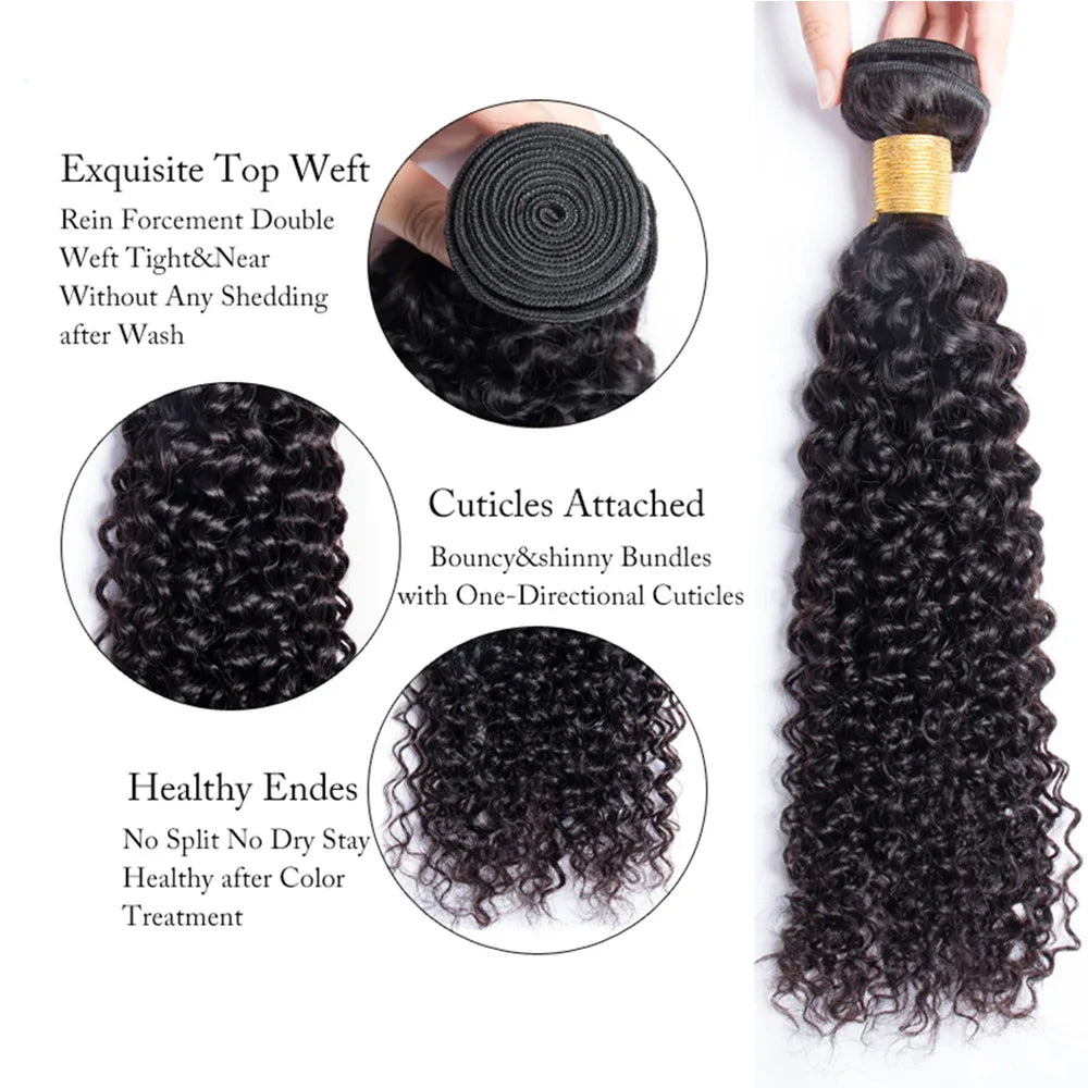 Kinky Curly Mongolian Human Hair Bundles